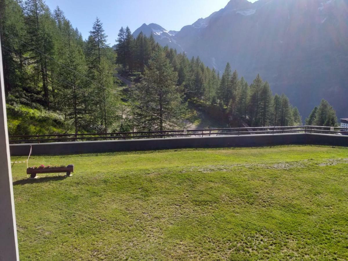 Genepy Cervinia Apartment Vda Vacanze In Vetta Cir 0252 Breuil-Cervinia Exteriör bild